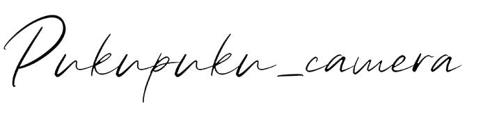 Pukupuku-camera